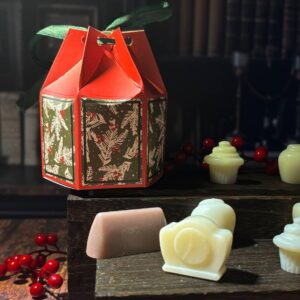 La Bicoque des Cinq, fondants de cire, la boite mystérieuse